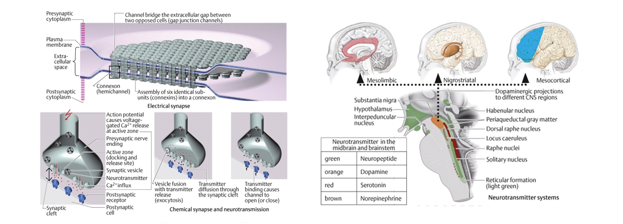 infografik_005-1250×450