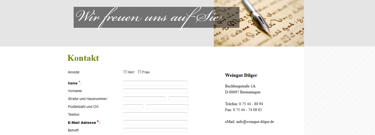 webdesign03-1250×450